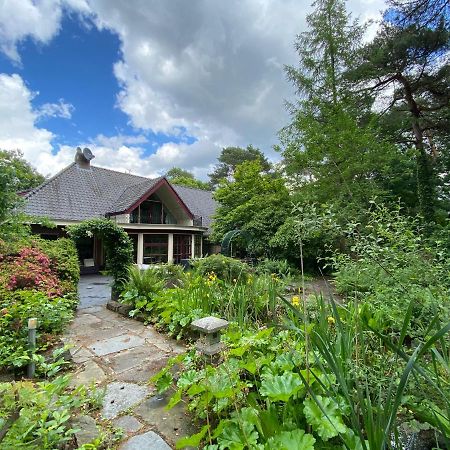 Sjieke Gezellige Villa In Het Bos Lieshout Exteriér fotografie
