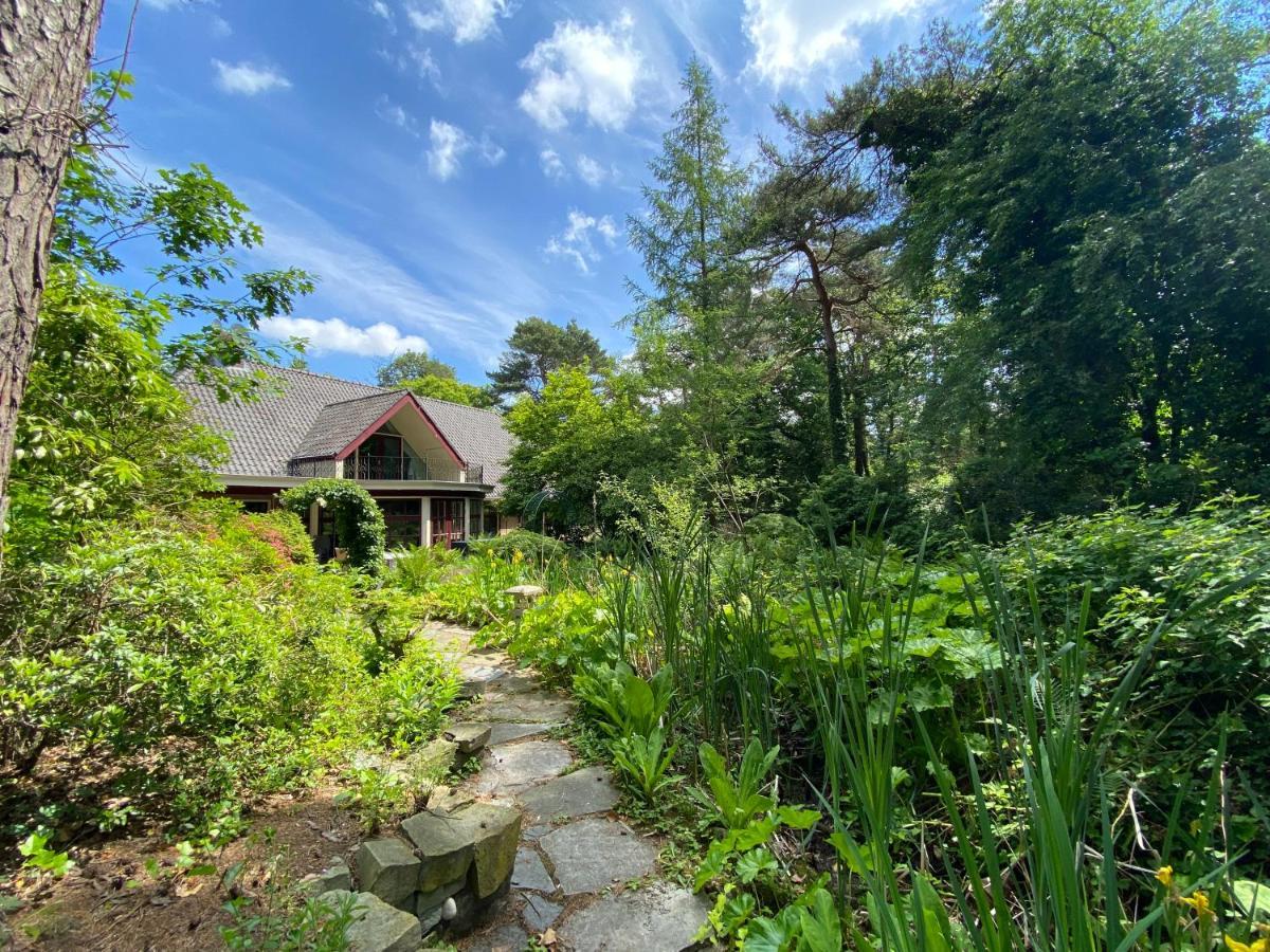 Sjieke Gezellige Villa In Het Bos Lieshout Exteriér fotografie