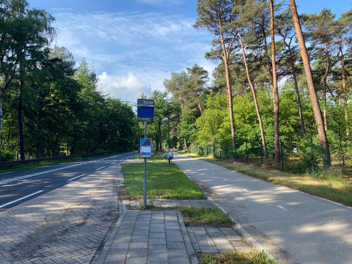 Sjieke Gezellige Villa In Het Bos Lieshout Exteriér fotografie
