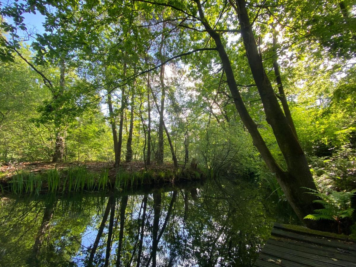Sjieke Gezellige Villa In Het Bos Lieshout Exteriér fotografie