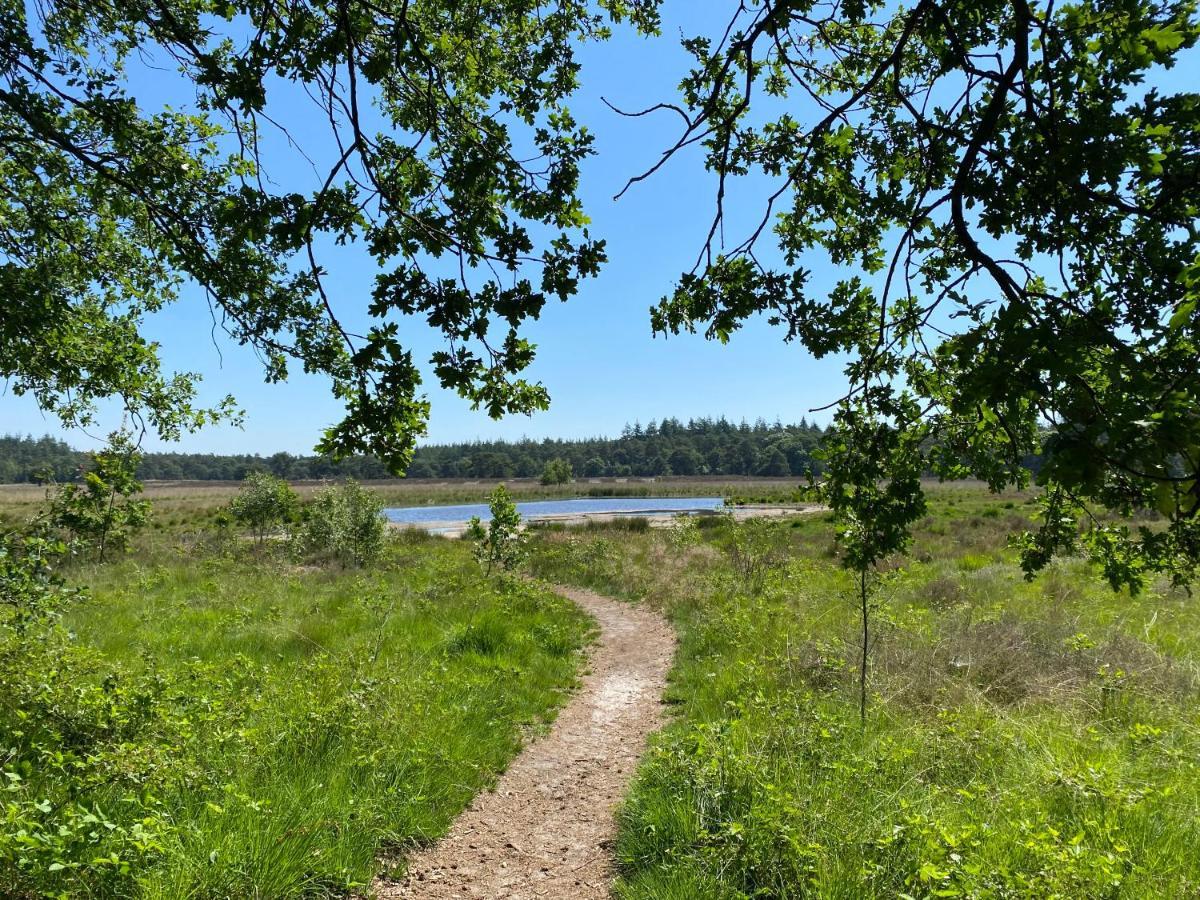 Sjieke Gezellige Villa In Het Bos Lieshout Exteriér fotografie