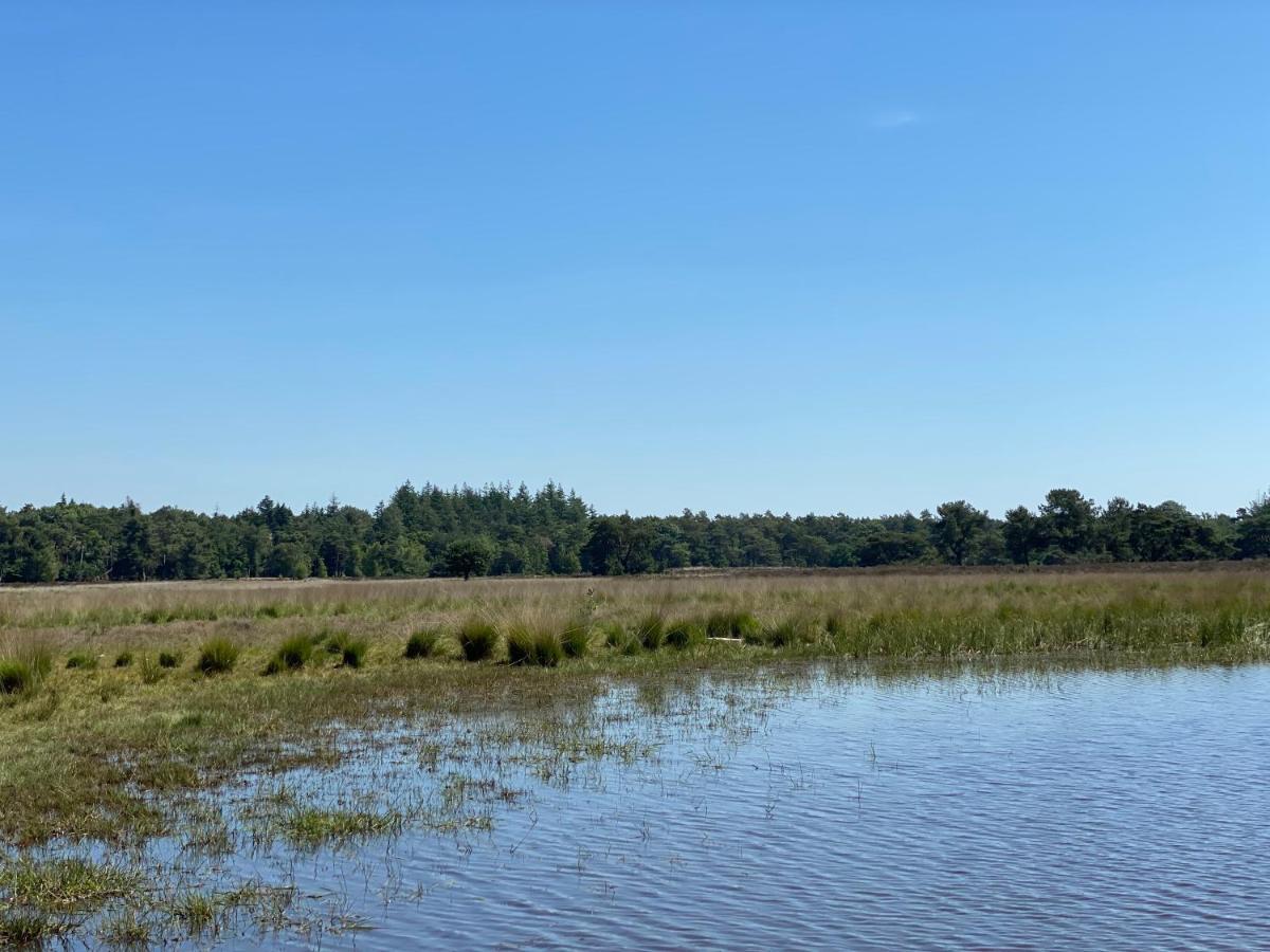 Sjieke Gezellige Villa In Het Bos Lieshout Exteriér fotografie
