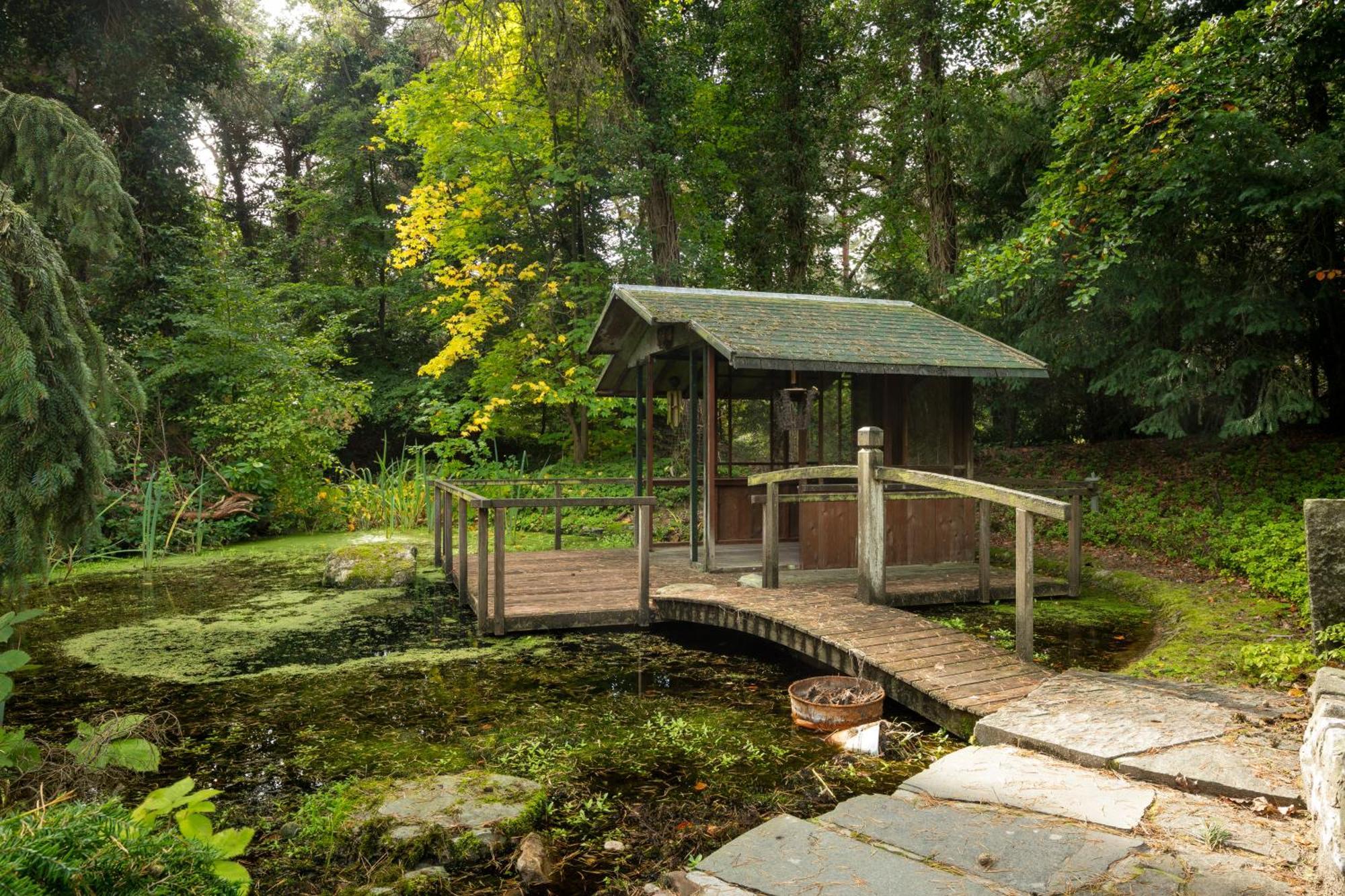 Sjieke Gezellige Villa In Het Bos Lieshout Exteriér fotografie